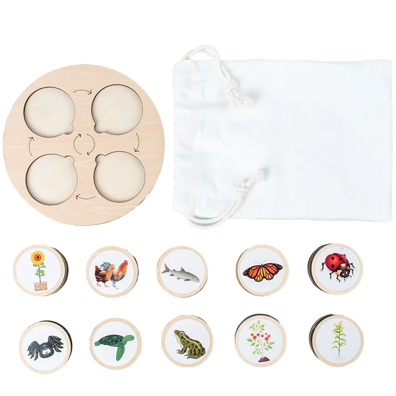 Kit de tabla de ciclo de vida Kit de tabla de ciclo de vida